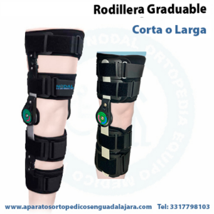Rodillera Graduable